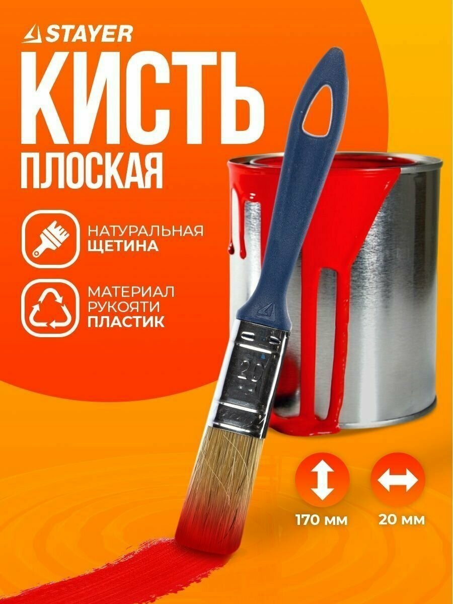 Кисть STAYER Profi 01085-20