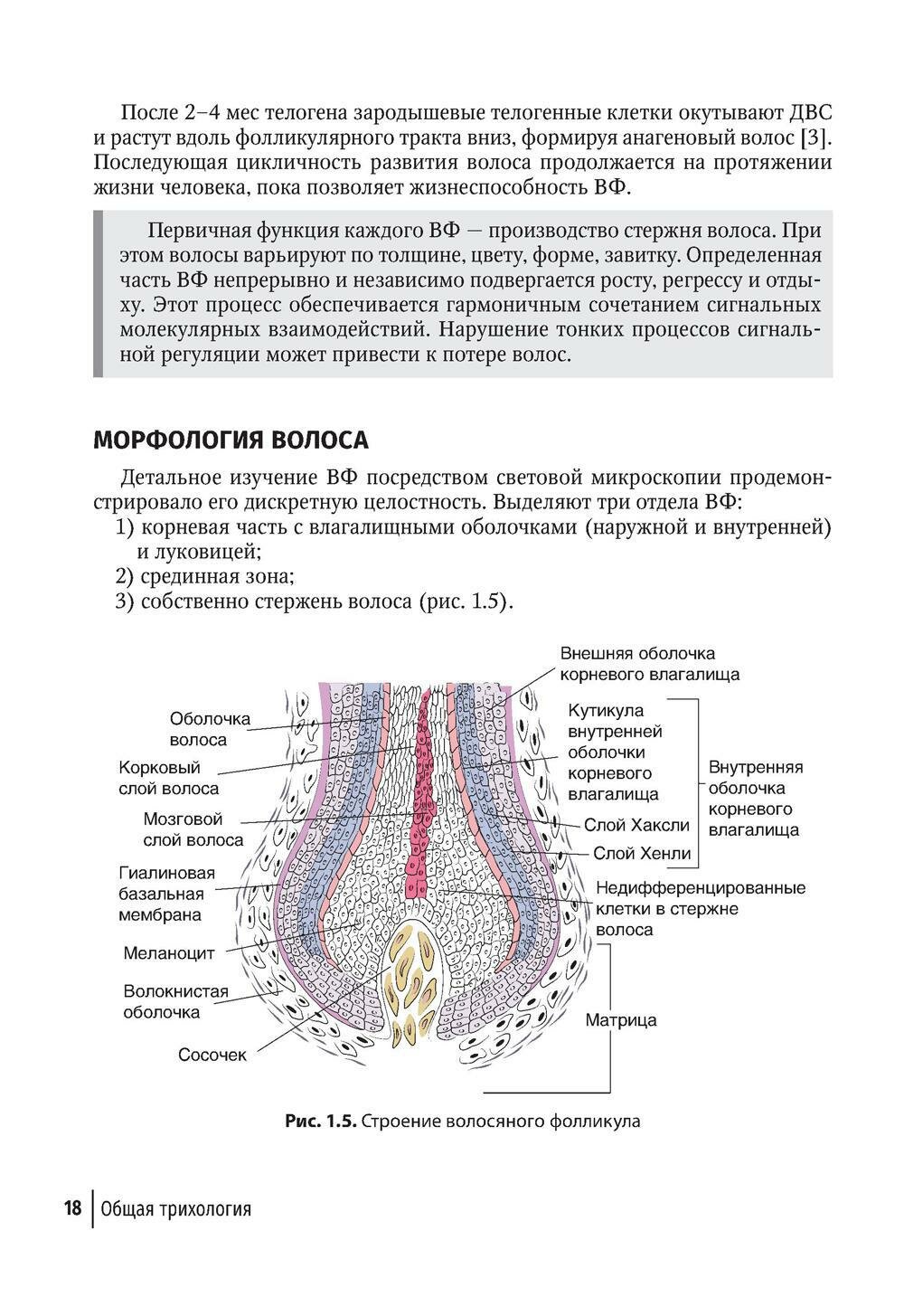 Клиническая трихология (Гаджигороева Аида Гусейхановна) - фото №8