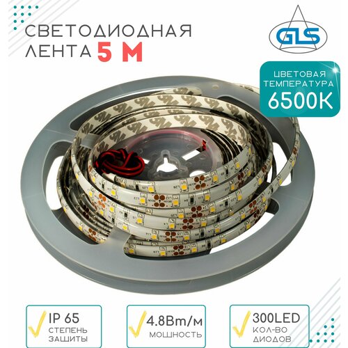 Светодиодная лента GLS 3528 L2 (Standart)/300LED (60LED/м), 12В, 4.8Вт/м, 6500К