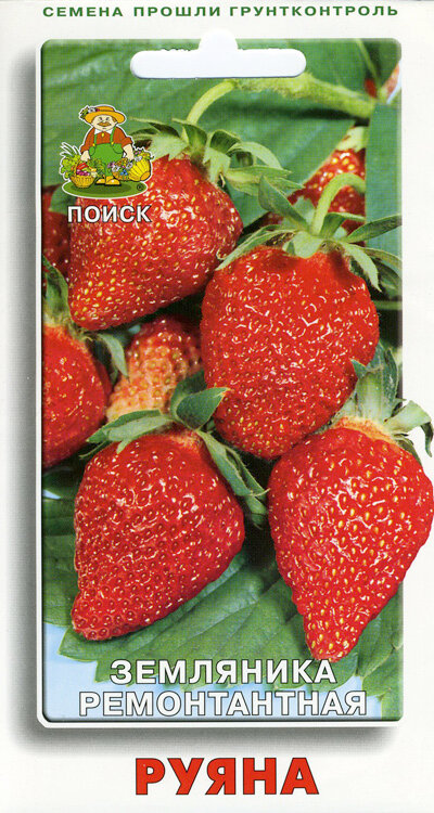 Земляника Руяна 100шт. (Поиск)