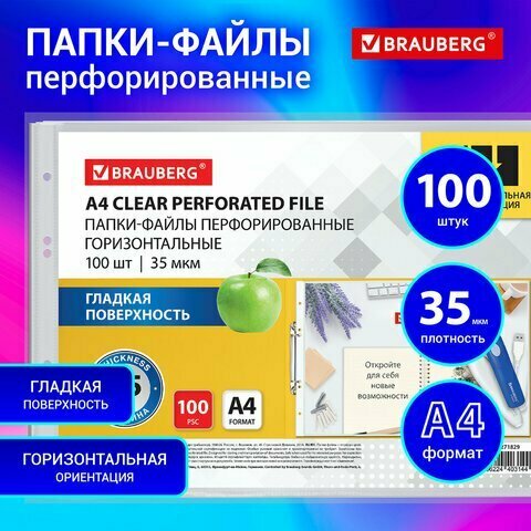 Папки-файлы перфорированные горизонтальной ориентации А4 BRAUBERG, комплект 100 шт, 35 мкм, 271829