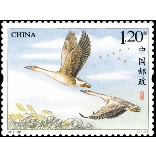 Почтовые марки Китай 2018г. Птицы - Дикий гусь Птицы MNH