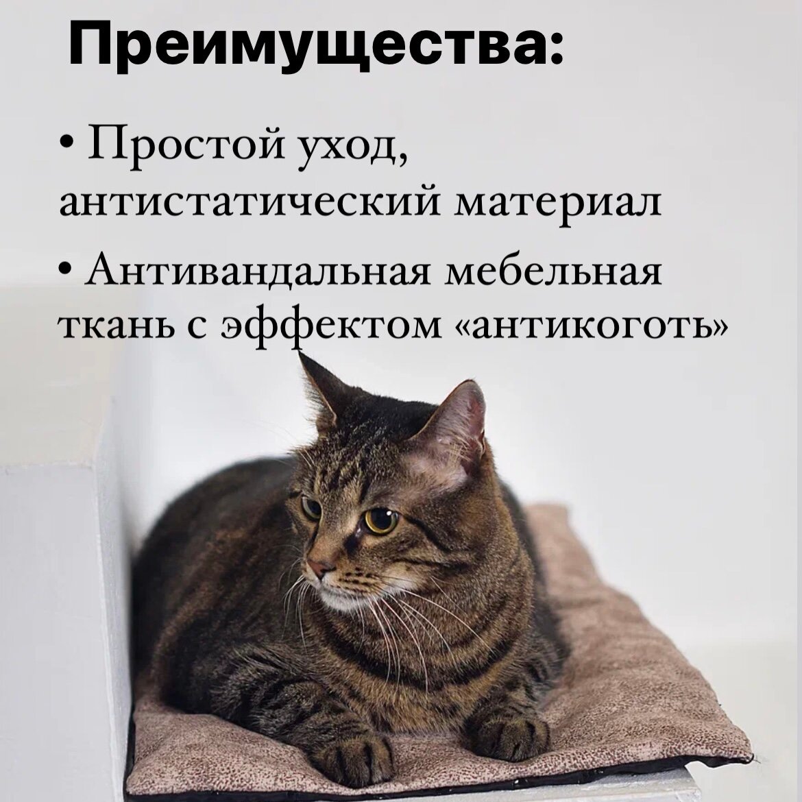 Лежанка Премиум для кошек и собак - подстилка, гамак и матрасик — фото 1