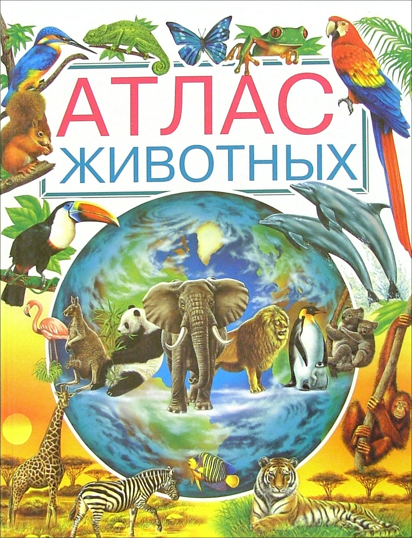 Книга Атлас животных. Детская энциклопедия - фото №9