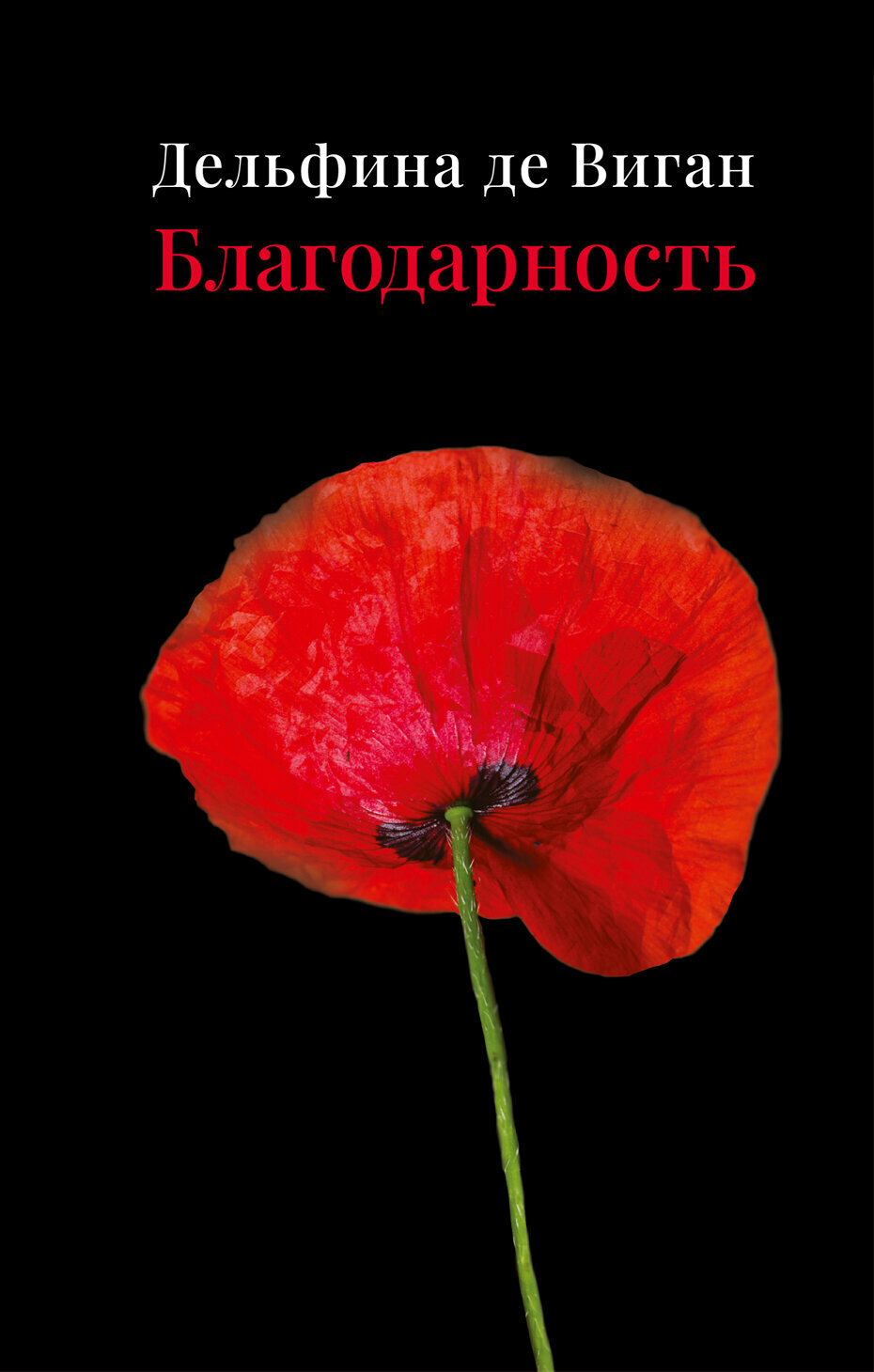 Благодарность (Дельфина де Виган) - фото №13