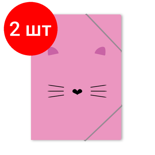 Комплект 2 штук, Папка на резинках А4 №1School Kitty розовая