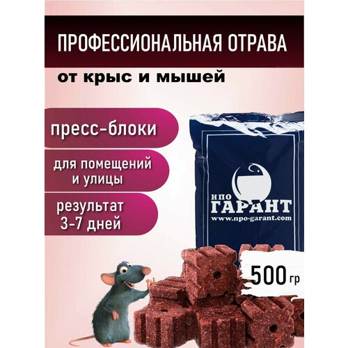 Абсолон пресс блоки от мышей и крыс 500 грамм абсолон зерно от крыс и мышей 100 грамм