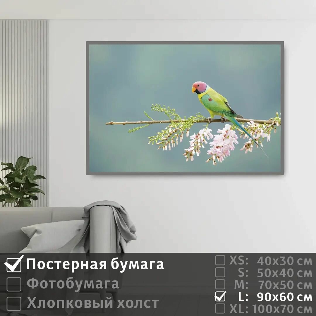 Постер на стену Попугай Сидит На Цветущей Ветке 90х60 см ПолиЦентр
