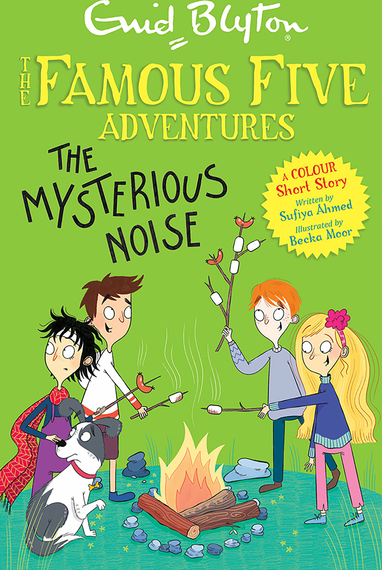 The Mysterious Noise (Blyton Enid) - фото №1