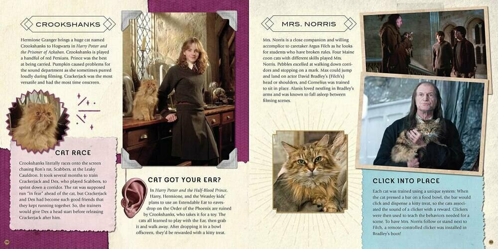 Harry Potter – Magical Creatures: A Movie Scrapbook - фото №5