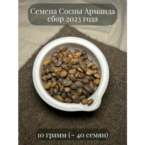 Семена Сосны Арманда, или Сосны белой китайской