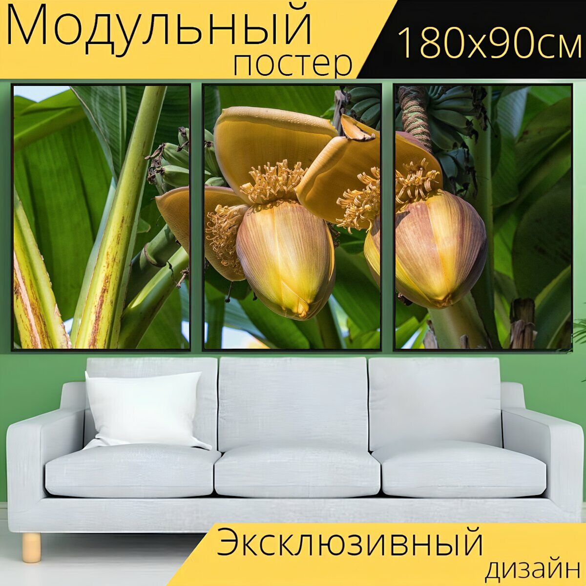 Модульный постер "Цветок банана, банановое дерево, банановое растение" 180 x 90 см. для интерьера