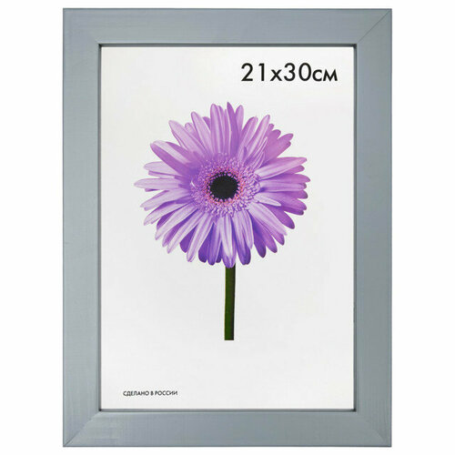 Фоторамка fiona 210х300мм серая дерево 1117₽