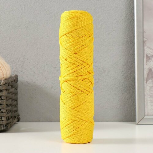 Шнур полиэфирный 3 мм 75м1255 гр Канарейка 537₽