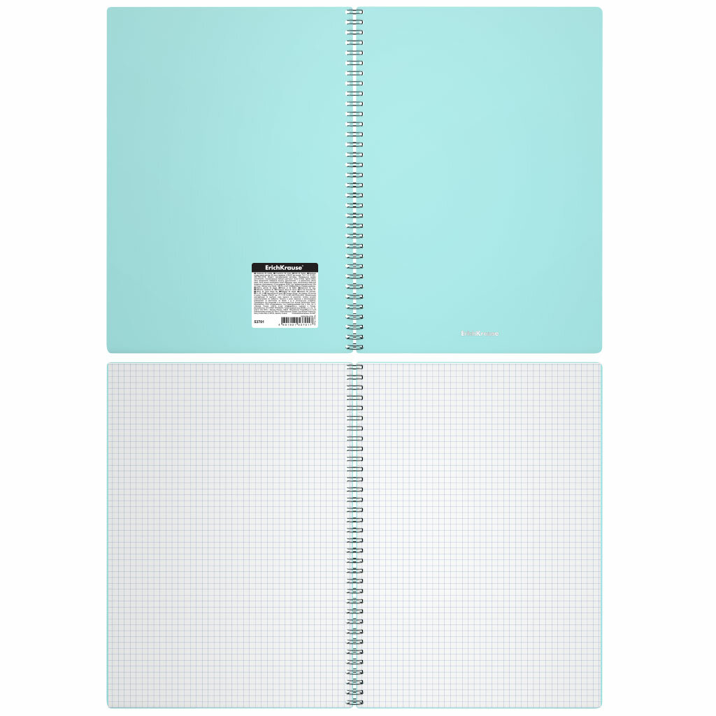 Тетрадь общая с пластиковой обложкой на спирали ErichKrause Pastel Mint, А4, 80 листов, клетка 53701