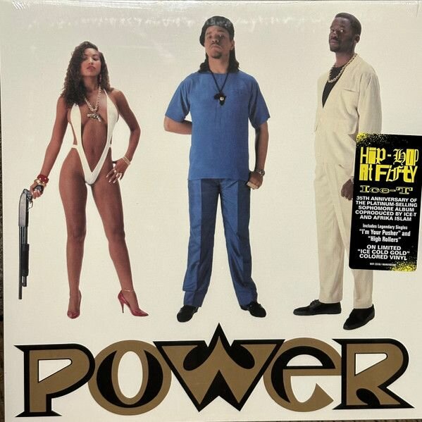 "Виниловая пластинка Ice-T Power"