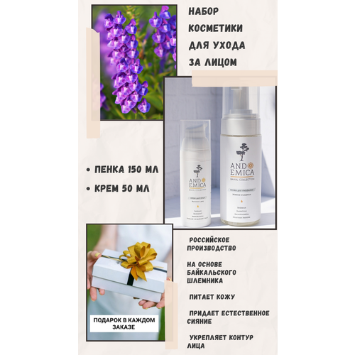 Набор косметики для ухода за лицом женский: пенка для умывания и крем для лица