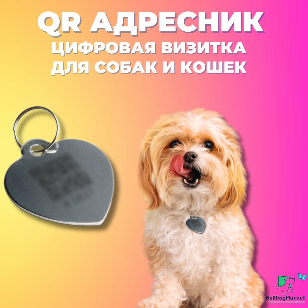 Адресник для собак и кошек с гравировкой QR кода, сердечко