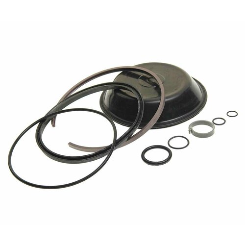 Ремкомплект КАМАЗ энергоаккумулятора тип 2424 9 поз РК-200 биформ 2046₽