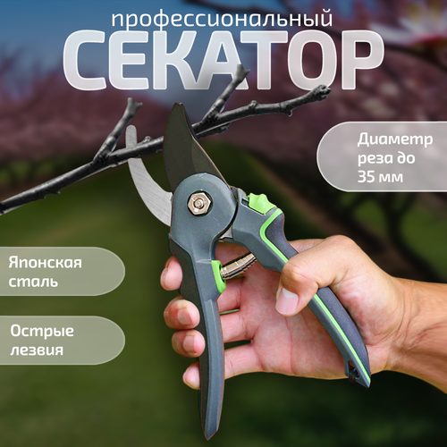 зеленый, белый, желтый, бесцветный, золотистый, бежевый, серый, черный, голубой, светлый, серебристый