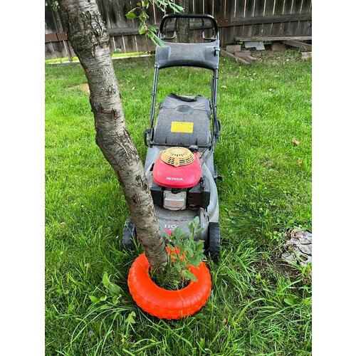 Защита стволов деревьев