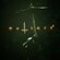 Игра Outlast 2 Xbox One / Series S / Series X, цифровой ключ