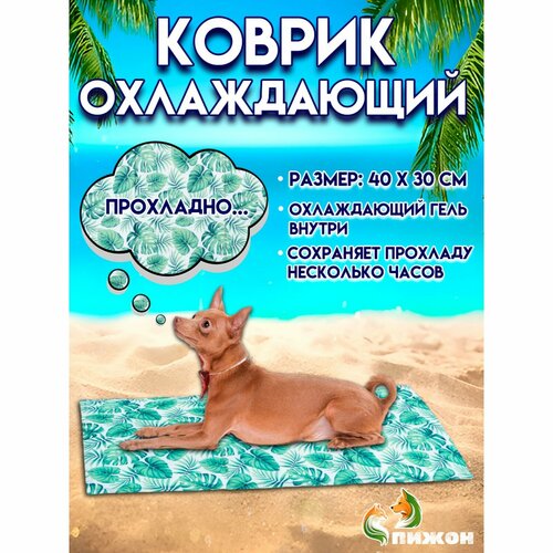 Коврик охлаждающий губка 40 х 30 см тропики 1295₽