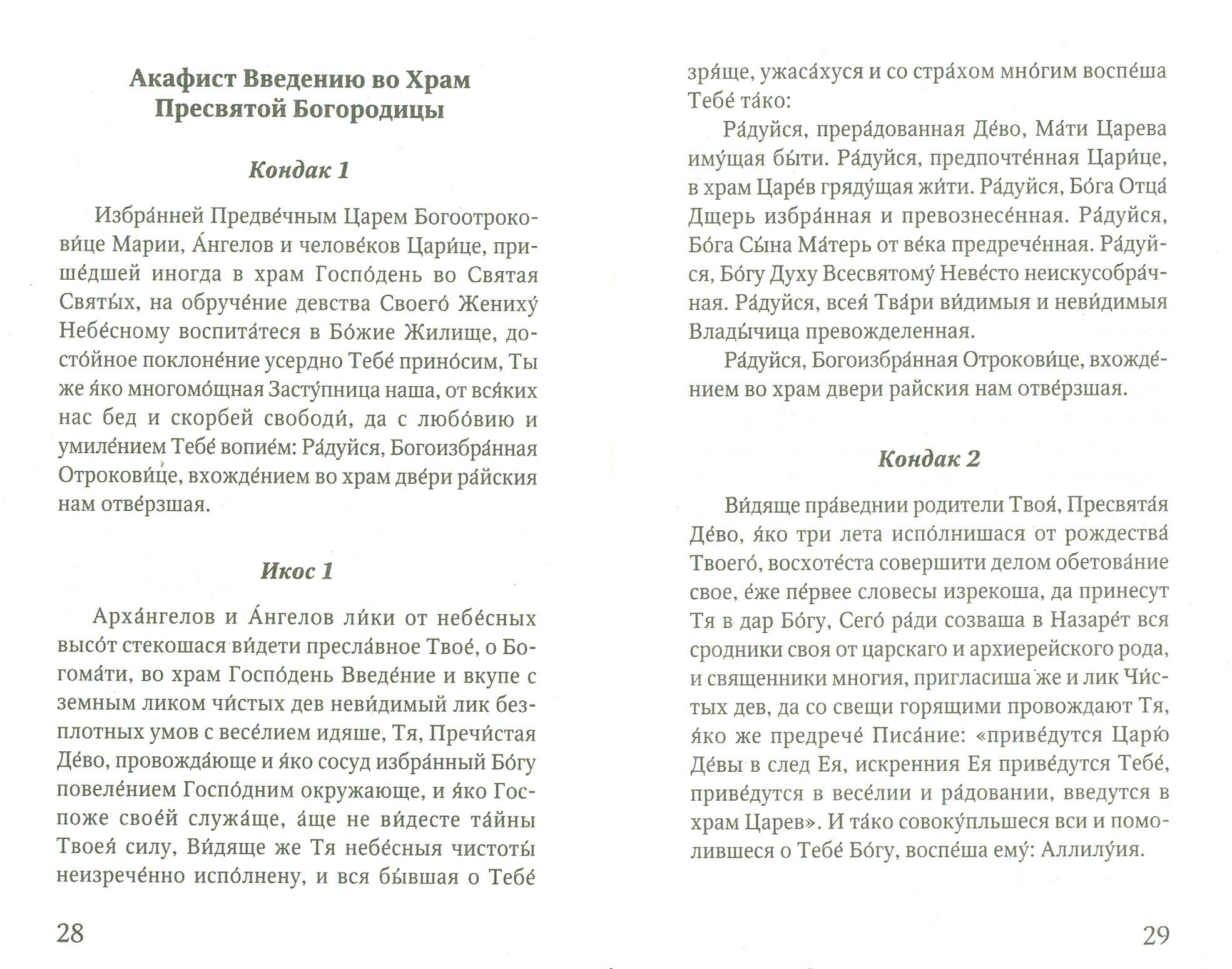 Книга Введение во Храм Пресвятой Богородицы - фото №4
