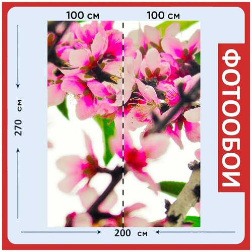 Фотообои Розовый роза цветы 200x270 см флизелиновыена стену 2980₽