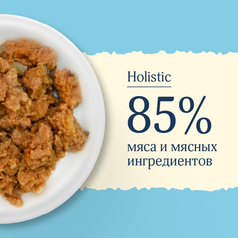 AVANCE holistic Консервы для взрослых собак и щенков с лососем, Natural&Healthy Salmon, Влажный корм, 100 гр — фото 1
