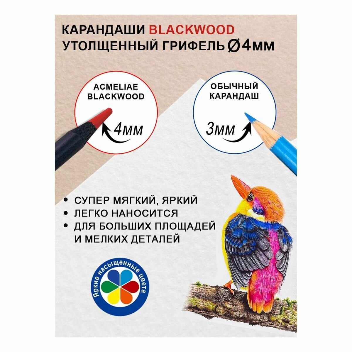Набор карандашей цветных ACMELIAE "Blackwood Artmate" 24 цв, в металлическом футляре - фото №9