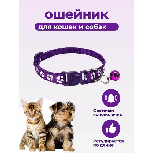 Ошейник для кошек и собак, нейлон, с колокольчиком, фиолетово-белый