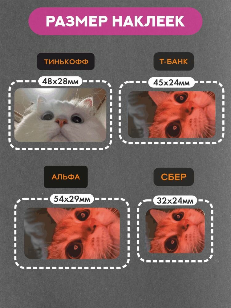 Наклейки на платежный стикер Котики — фото 1