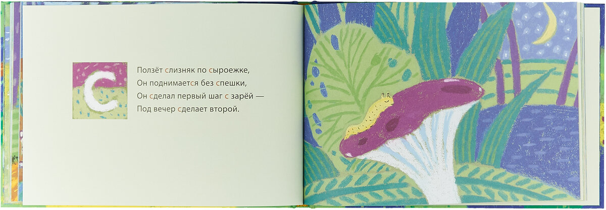 Новая лесная азбука — фото 1