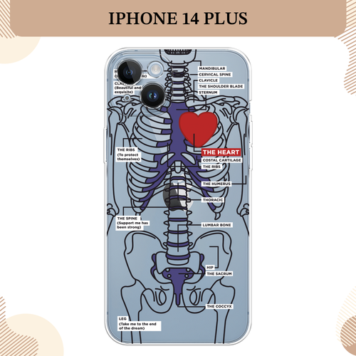 бесцветный, синий, красный