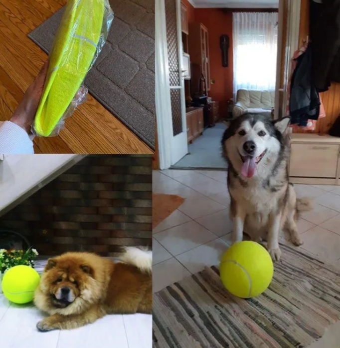 Мяч с насосом 30 см для собак - фотография № 6