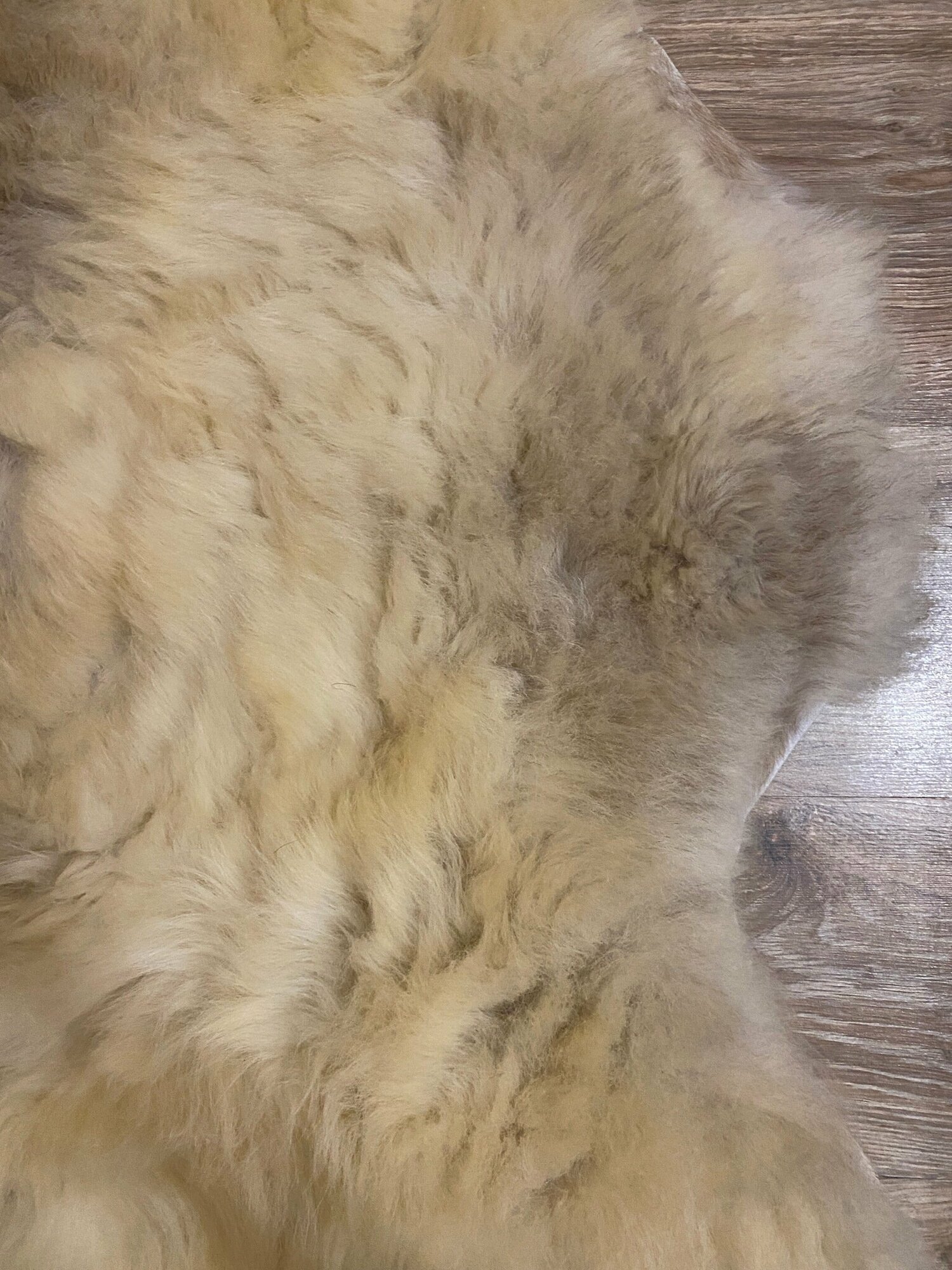 Шкура коврик меховой прикроватный овчина, длинный ворс 140х88 см. - фотография № 5