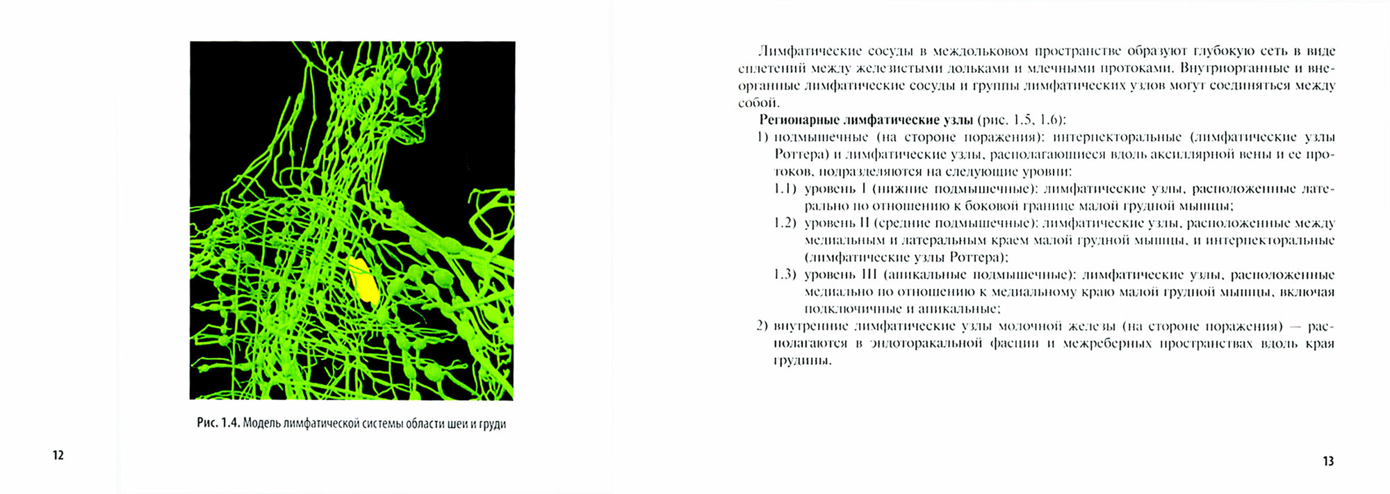 Рак молочной железы. Руководство для врачей - фото №5