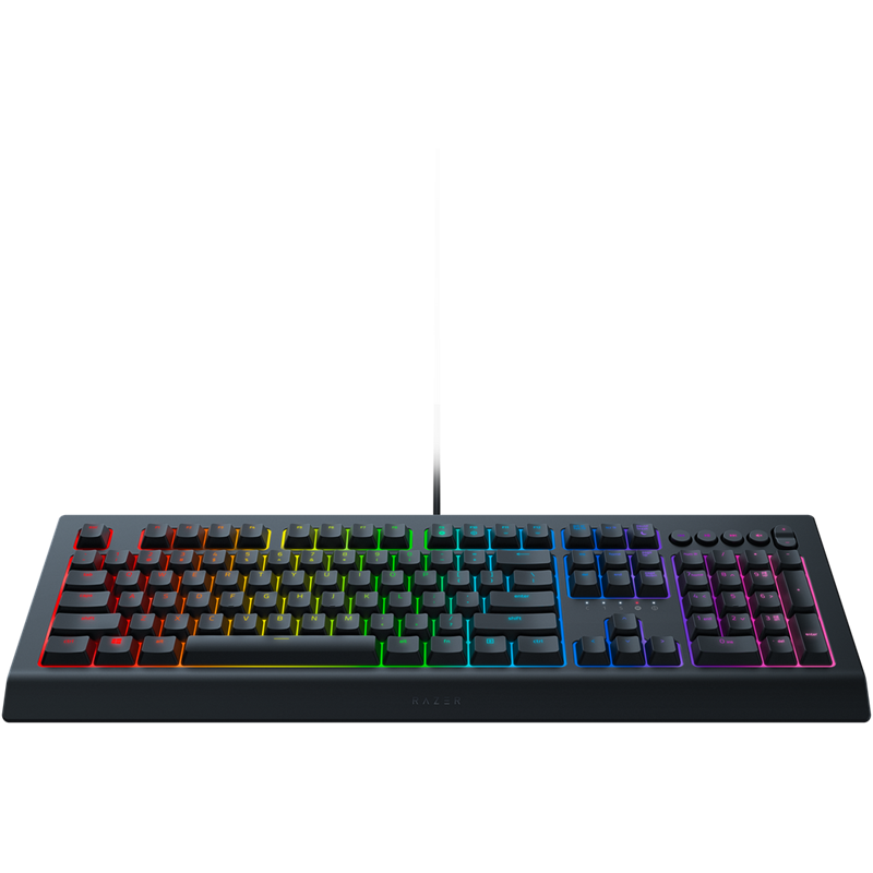 Клавиатура RAZER Cynosa V2, USB, черный [rz03-03400700-r3r1] - фото №19