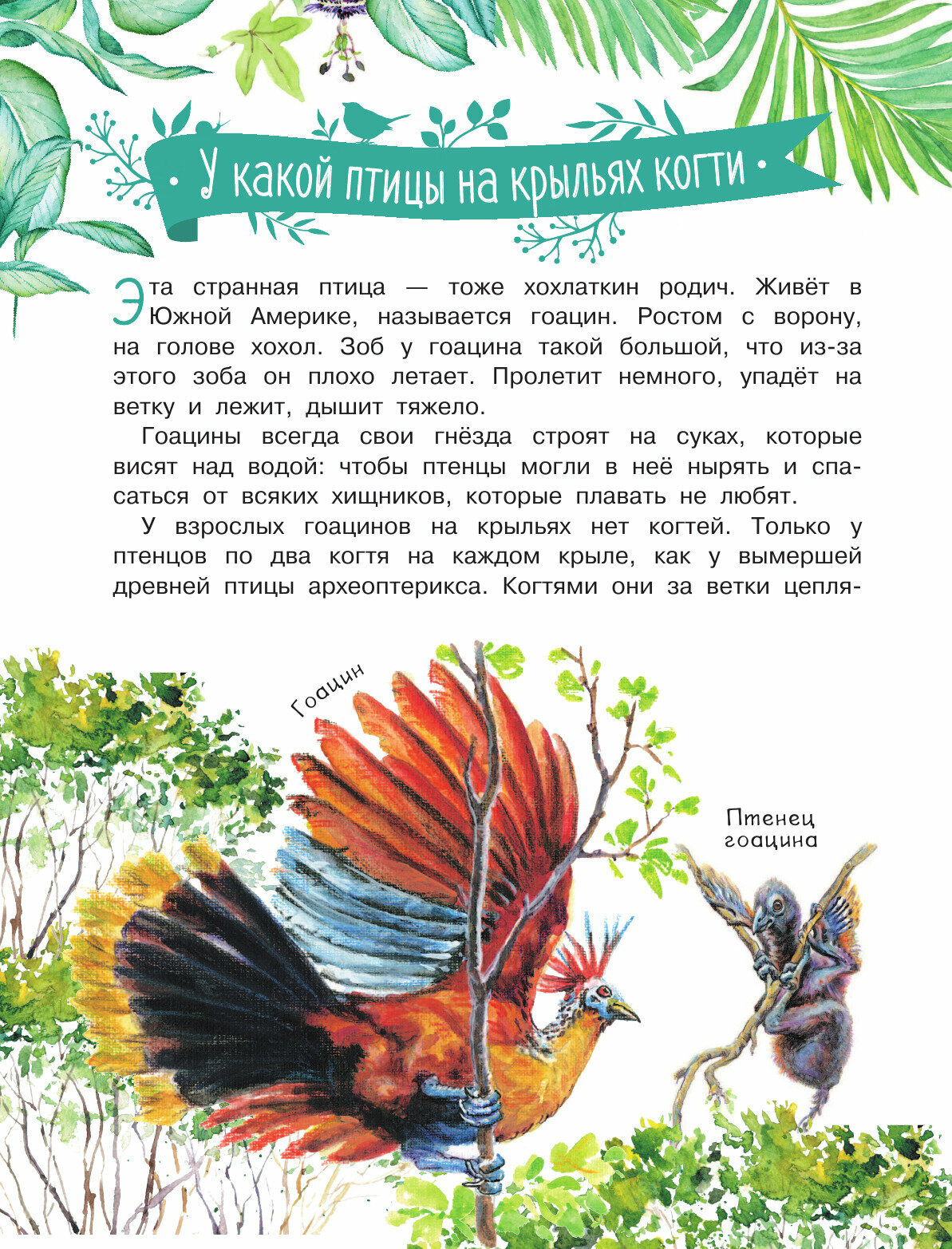 Удивительные звери (Акимушкин Игорь Иванович) - фото №13