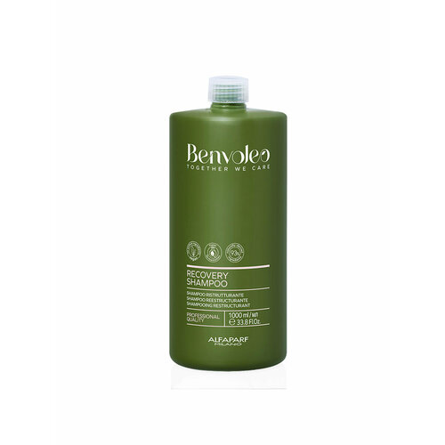 Шампунь для восстановления волос RECOVERY SHAMPOO, 1000 мл, Benvoleo, 23810