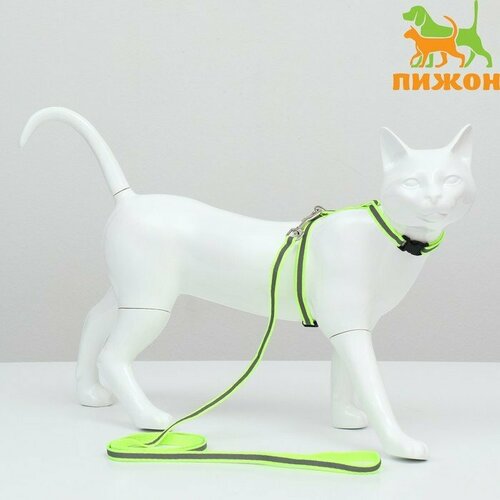 Комплект для кошек светоотражающий, ширина 1 см, шлейка 21-35 см, поводок 120 см, зелёный (комплект из 8 шт)