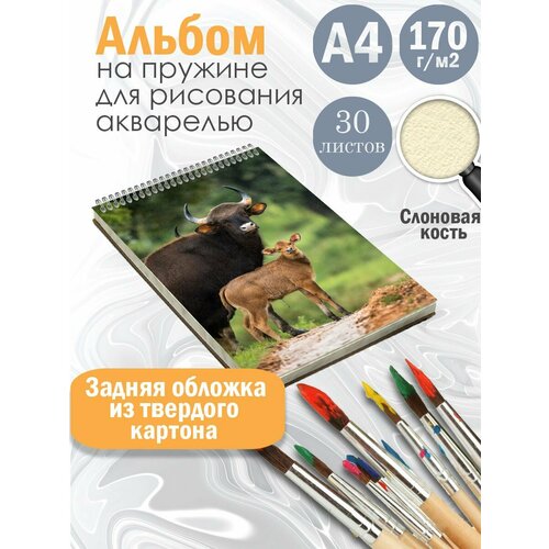 Альбом для рисования фауна саванны Буйволы
