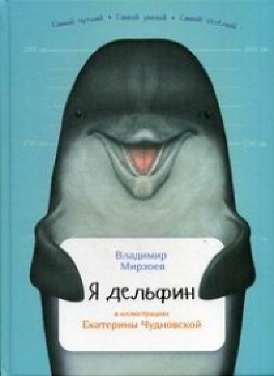 Я дельфин (Мирзоев Владимир Владимирович) - фото №16