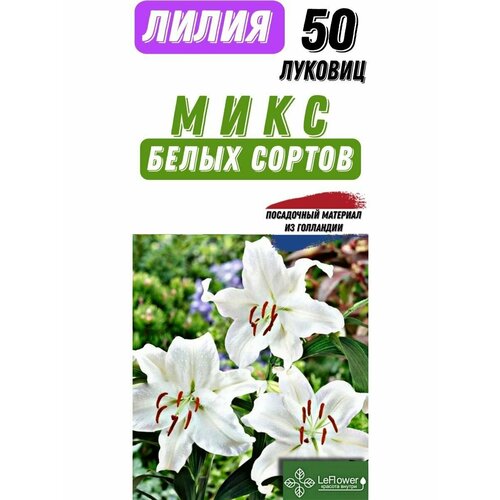 Лилия Луковица, Микс белых сортов, 50шт