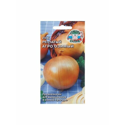 Семена Лук репчатый Агро, 0,5 г семена лук репчатый зольский 3 упаковки 2 подарка