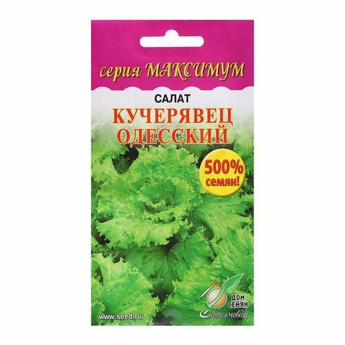Семена Салат Кучерявец Одесский, максимум, 3600 шт ( 1 упаковка ) набор семян салата полукочанный кучерявец кочанный трапер