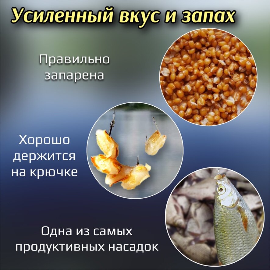 Насадка рыболовная / Наживка для рыбалки на крючок ( распаренная пшеница конопля в банке ) Приманка для карпа карася плотвы на леща / тутти - фрутти — фото 1