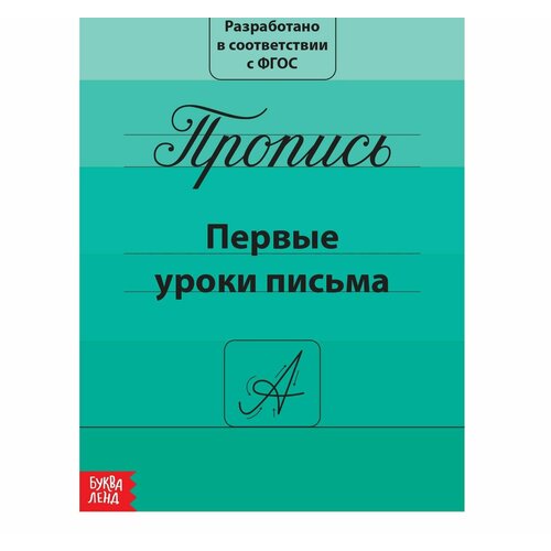 Прописи Первые уроки письма, 20 стр.