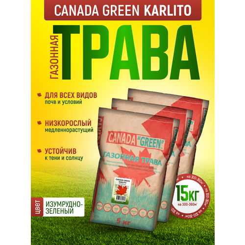 Газонная трава Канада Грин Низкорослая Карлито 15 кг / Canada Green Karlito 15кг / мятлик, овсяница